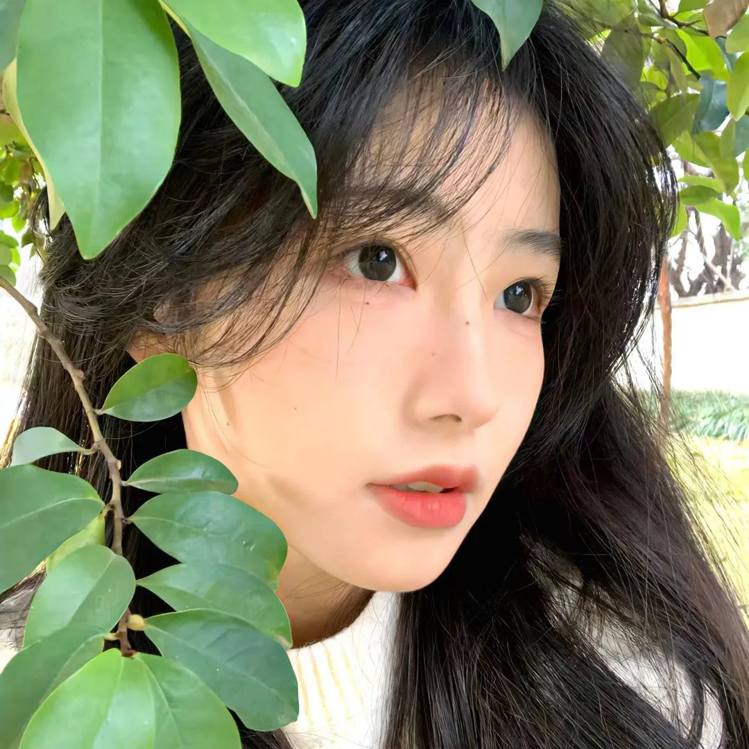 跪毯旁的眼泪